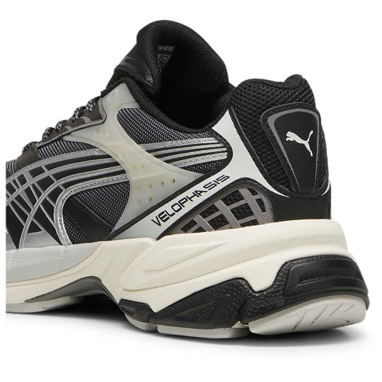 Puma Velophasis Born in the 2000s